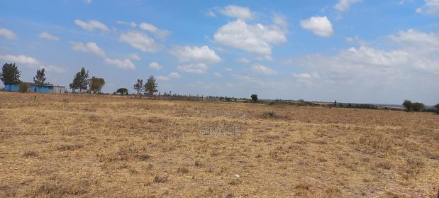 Prime 50x100 Plot in Konza - main view