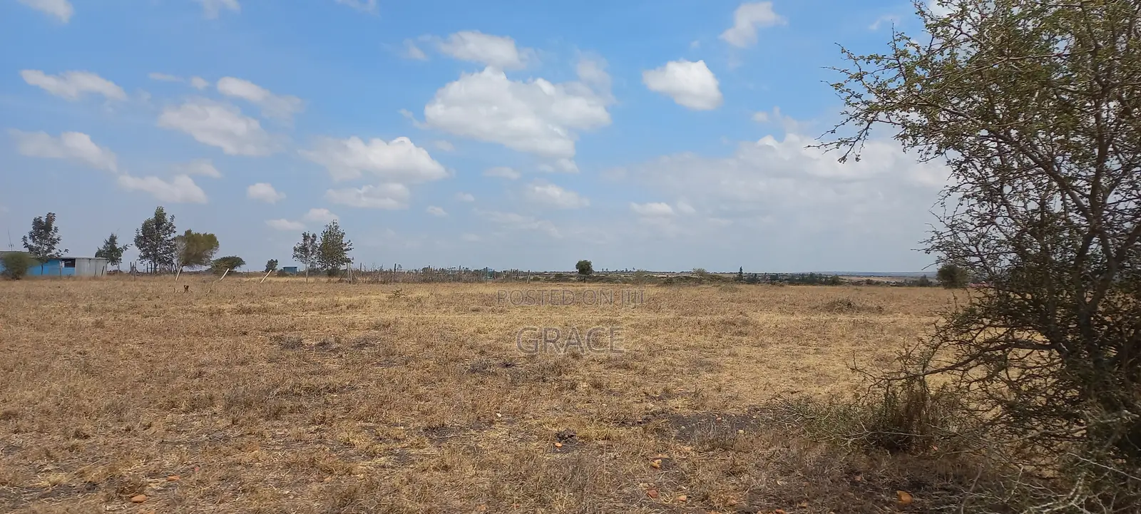 Prime 50x100 Plot in Konza