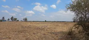 Prime 50x100 Plot in Konza