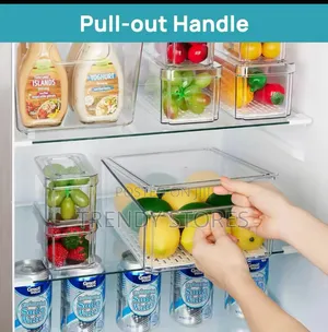 Fridge Storage Container