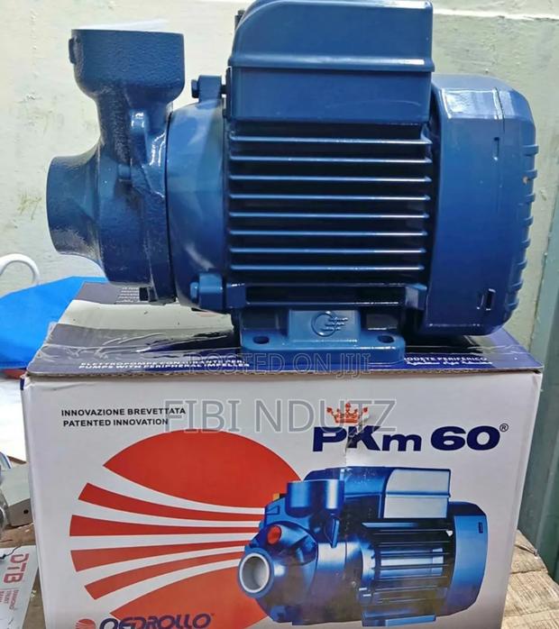 Pedrollo 0.5 Hp Waterpump