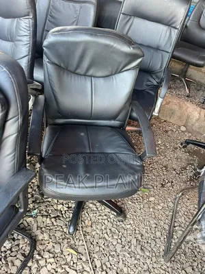 Professional Office Chair