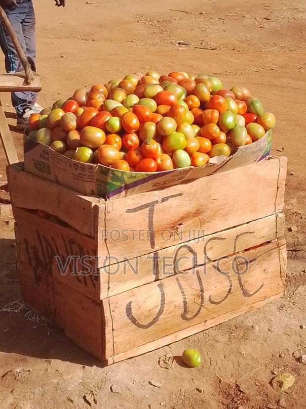 Fresh Farm Tomatoes - main view