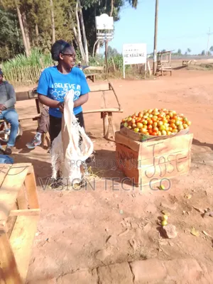 Fresh Farm Tomatoes