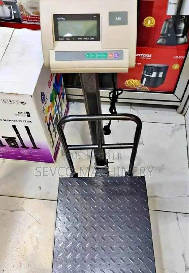 Heavy Duty A12 300kg Platform Weighing Scale (Big Base)