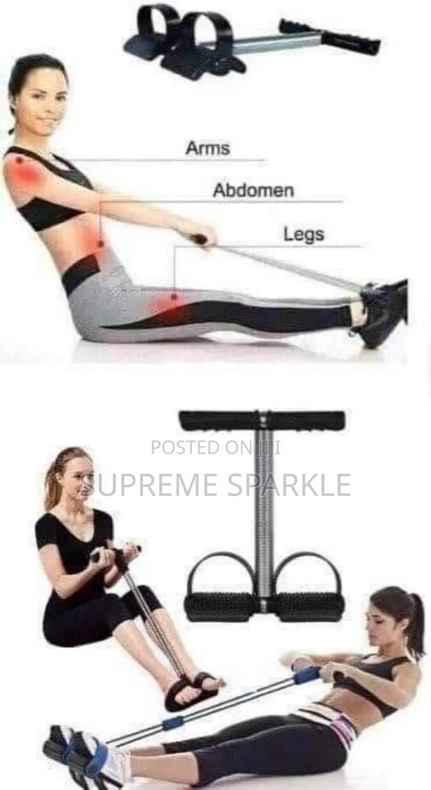 Tummy Trimmer Double Spring