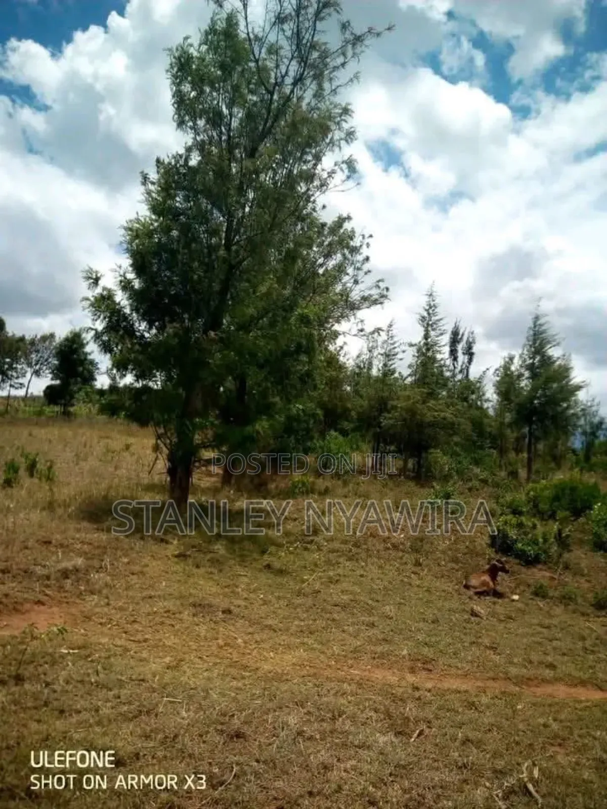 1.Acrea of Land Nanyuki Daiga
