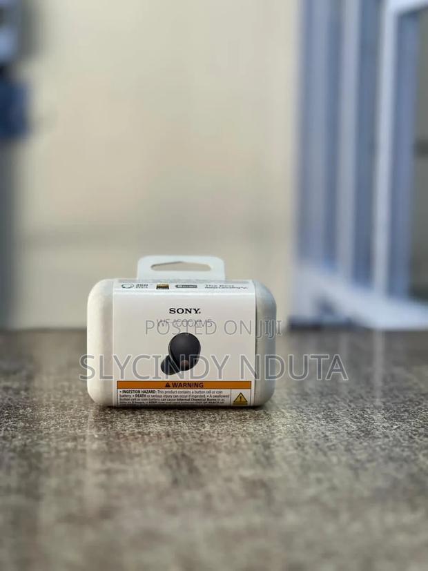 Sony Wf-1000xm5 Earbuds - main view