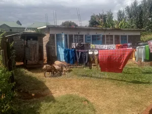 40/80 Commercial Banana Kiambaa Kiambu