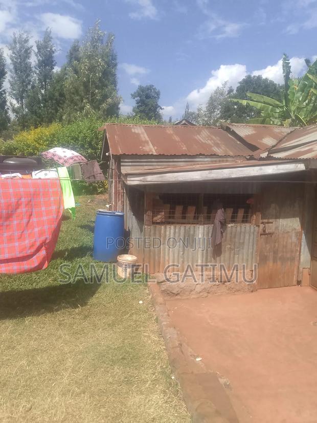 40/80 Commercial Banana Kiambaa Kiambu - thumbnail 3