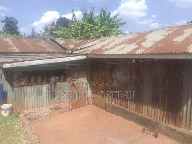 40/80 Commercial Banana Kiambaa Kiambu - thumbnail 4