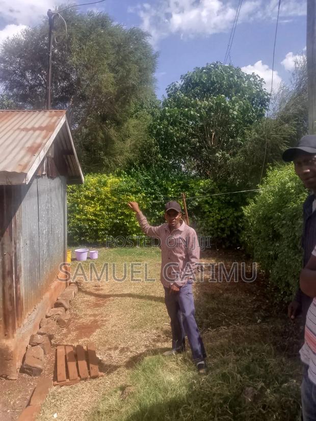 40/80 Commercial Banana Kiambaa Kiambu - thumbnail 5