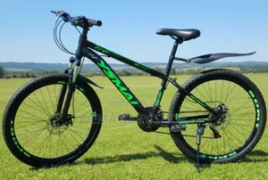 21speed/Heavy Duty Mountain Bike Size 24"