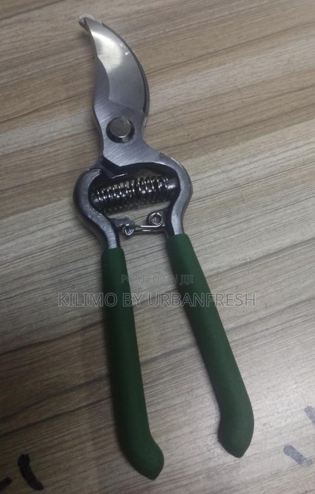 Pruning Shear For Branches.