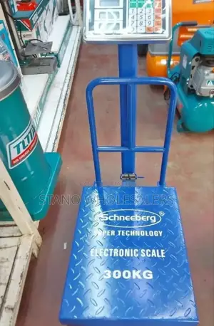 Big Base 300 KGS Weighing Platform Scale