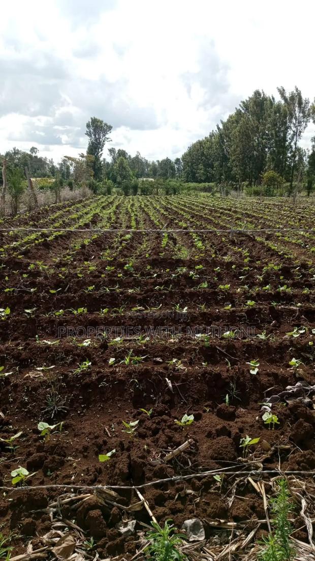 100×100 Plot for Sale in Gitoine,Kagio.