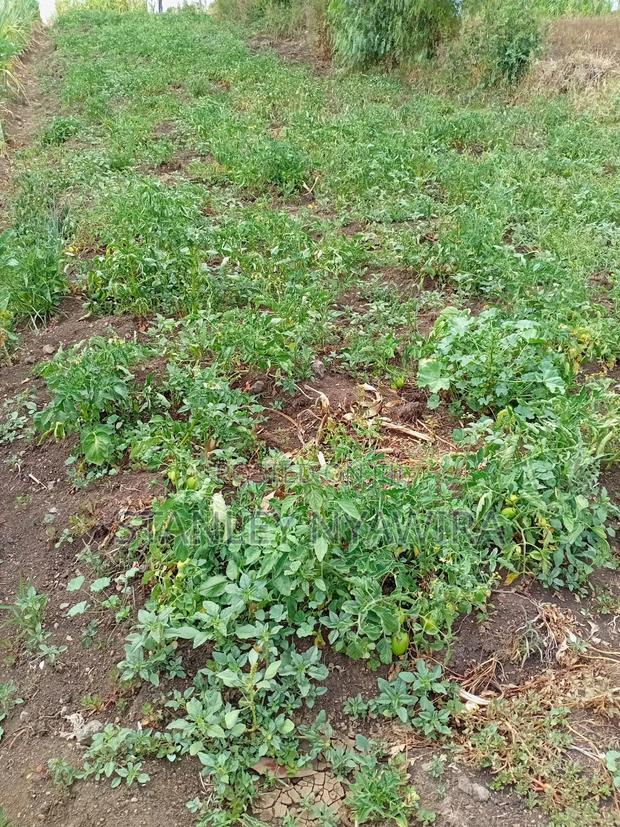 7 Acrea in Lussoi Near Narumoro via Nanyuki