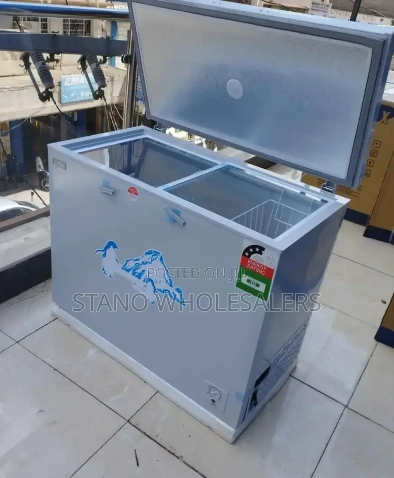 Ecomax 219 Freezer Bcd219