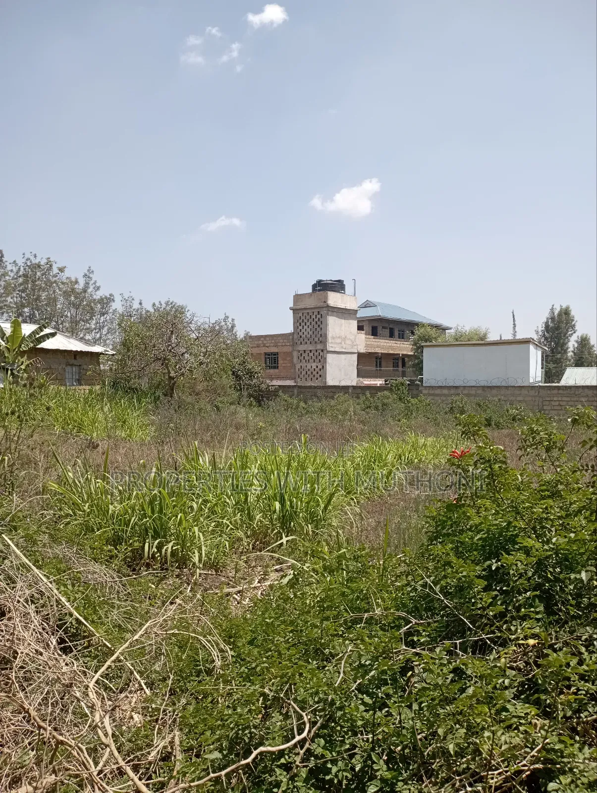 100×100 Plot for Sale in Matasia,Ngong.