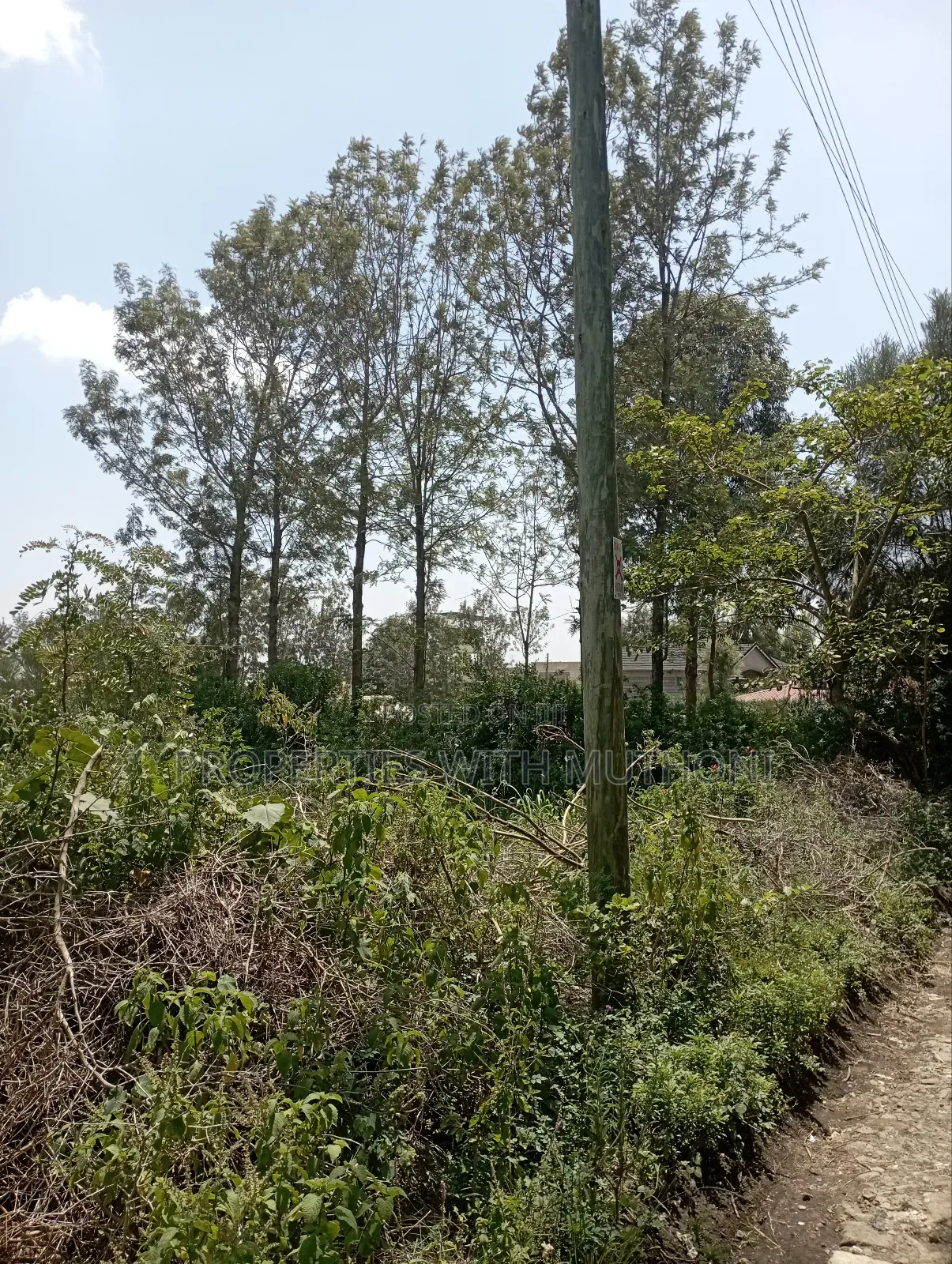100×100 Plot for Sale in Matasia,Ngong.