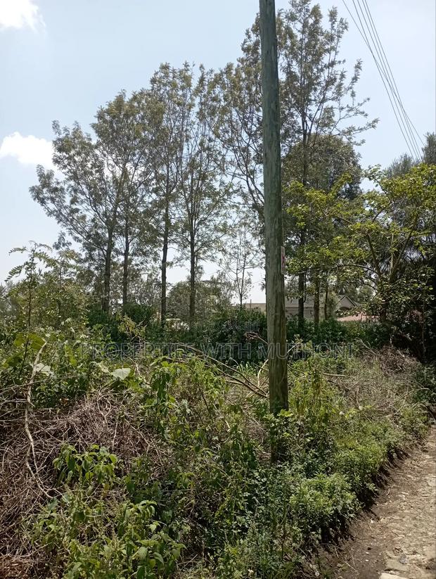 100×100 Plot for Sale in Matasia,Ngong. - thumbnail 4