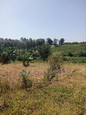 2 Acre River Front Property. Tigoni, Limuru. - main view