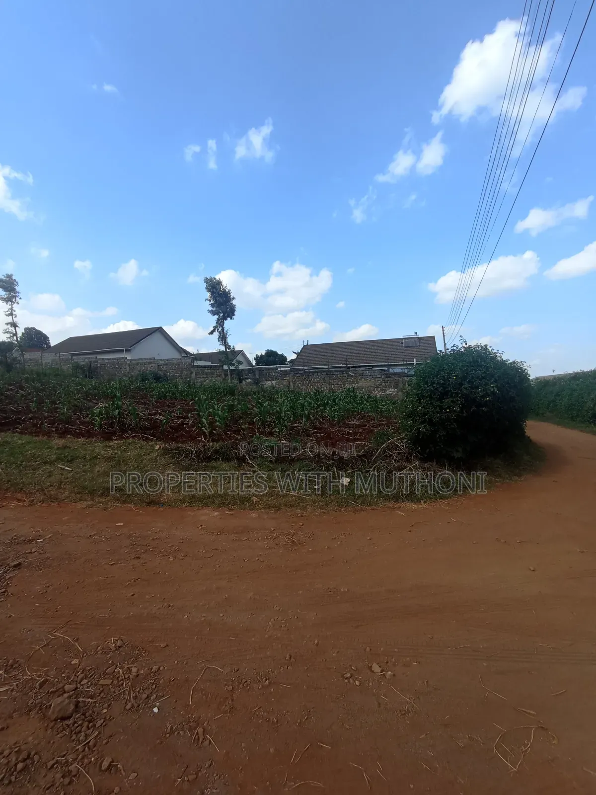 50×100 Plot for Sale in Ngong.