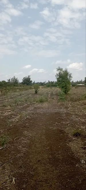 3/4 Acre for Sale in Sagana.