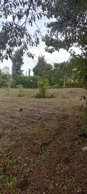 3/4 Acre for Sale in Sagana.