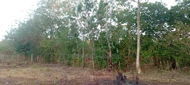 Golden 1/4 Acre Plot at Kinondo 100 Metres From the the Main Road. - thumbnail 7