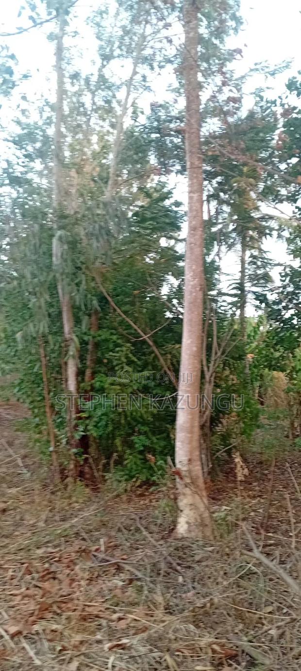 Golden 1/4 Acre Plot at Kinondo 100 Metres From the the Main Road. - thumbnail 8