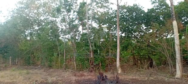 Golden 1/4 Acre Plot at Kinondo 100 Metres From the the Main Road. - thumbnail 9