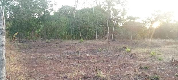 Golden 1/4 Acre Plot at Kinondo 100 Metres From the the Main Road. - thumbnail 10