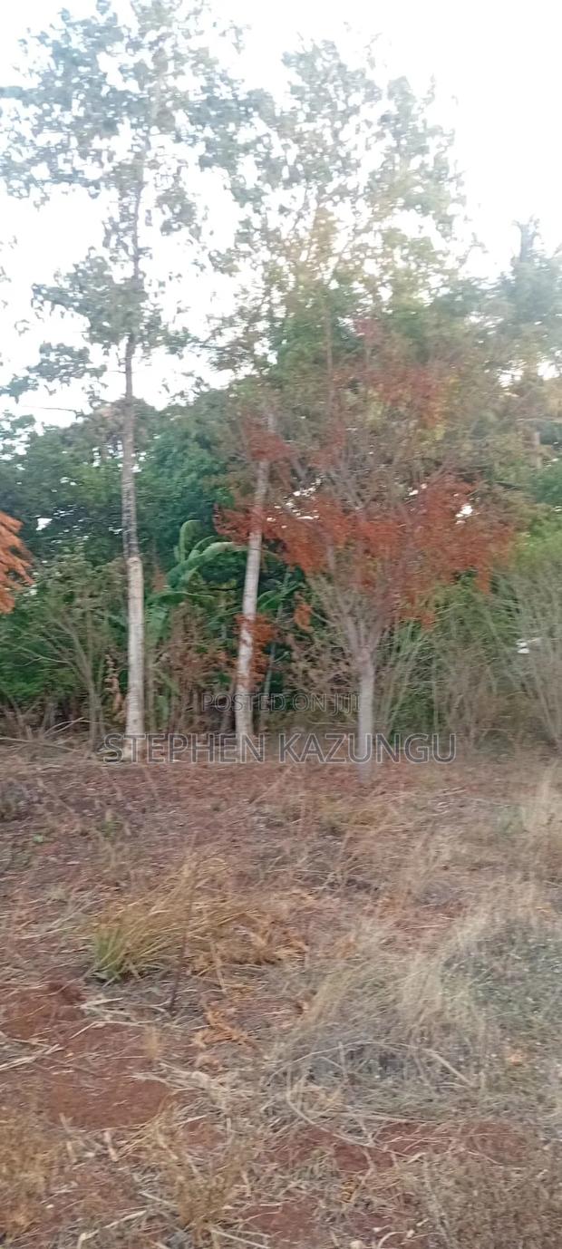 Golden 1/4 Acre Plot at Kinondo 100 Metres From the the Main Road. - thumbnail 4