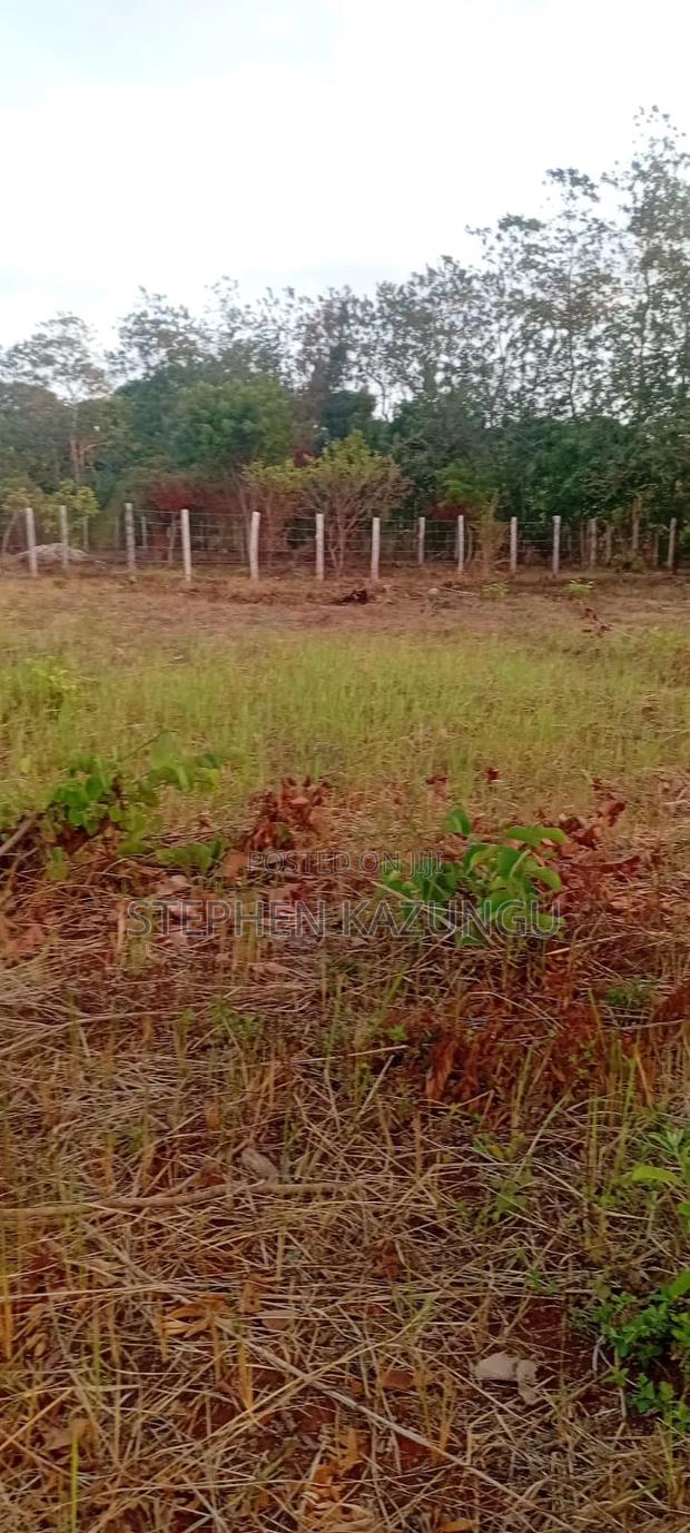Golden 1/4 Acre Plot at Kinondo 100 Metres From the the Main Road. - thumbnail 6