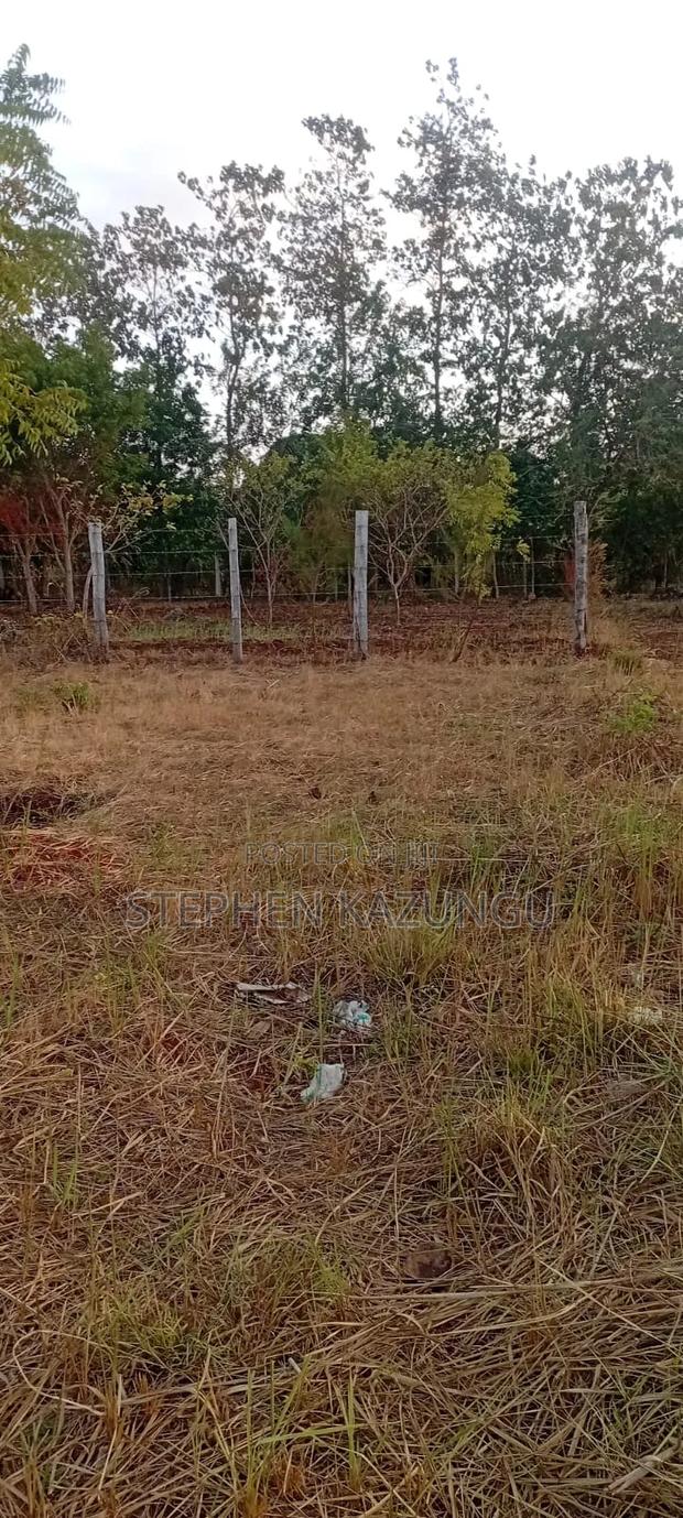 Golden 1/4 Acre Plot at Kinondo 100 Metres From the the Main Road. - thumbnail 12