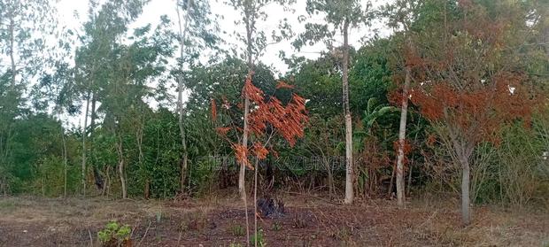 Golden 1/4 Acre Plot at Kinondo 100 Metres From the the Main Road. - thumbnail 13