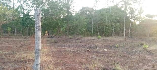 Golden 1/4 Acre Plot at Kinondo 100 Metres From the the Main Road. - thumbnail 14