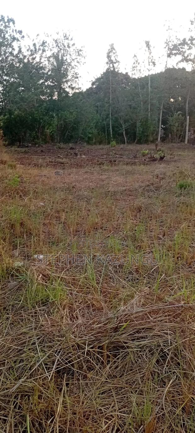 Golden 1/4 Acre Plot at Kinondo 100 Metres From the the Main Road. - thumbnail 15