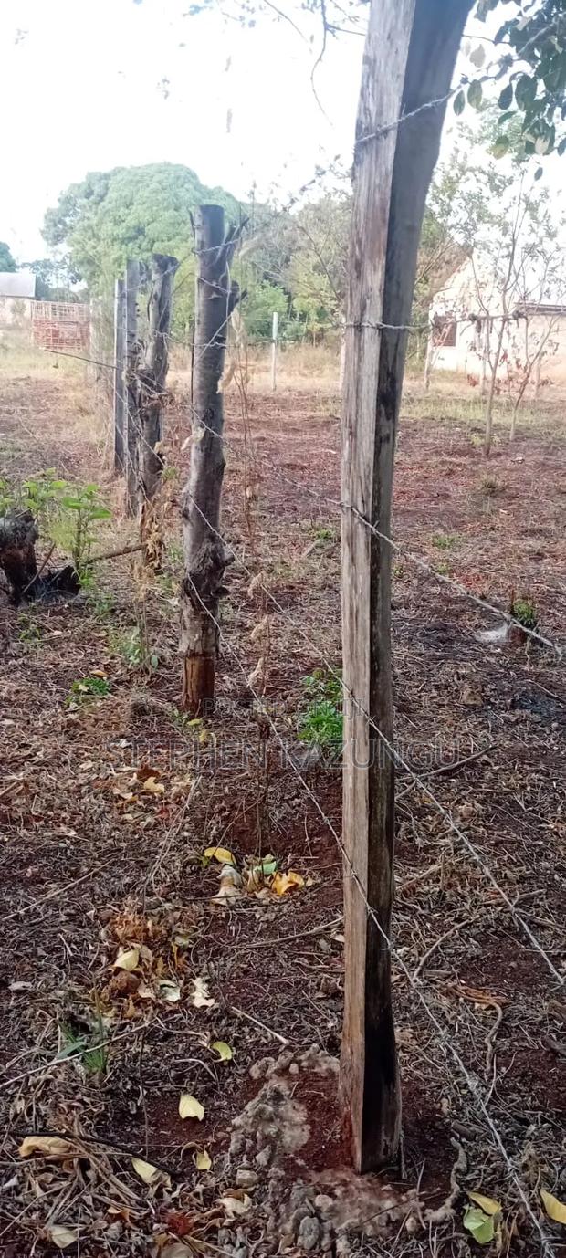 Golden 1/4 Acre Plot at Kinondo 100 Metres From the the Main Road. - thumbnail 16