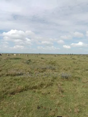 5 Acreas Nanyuki Mutirithia
