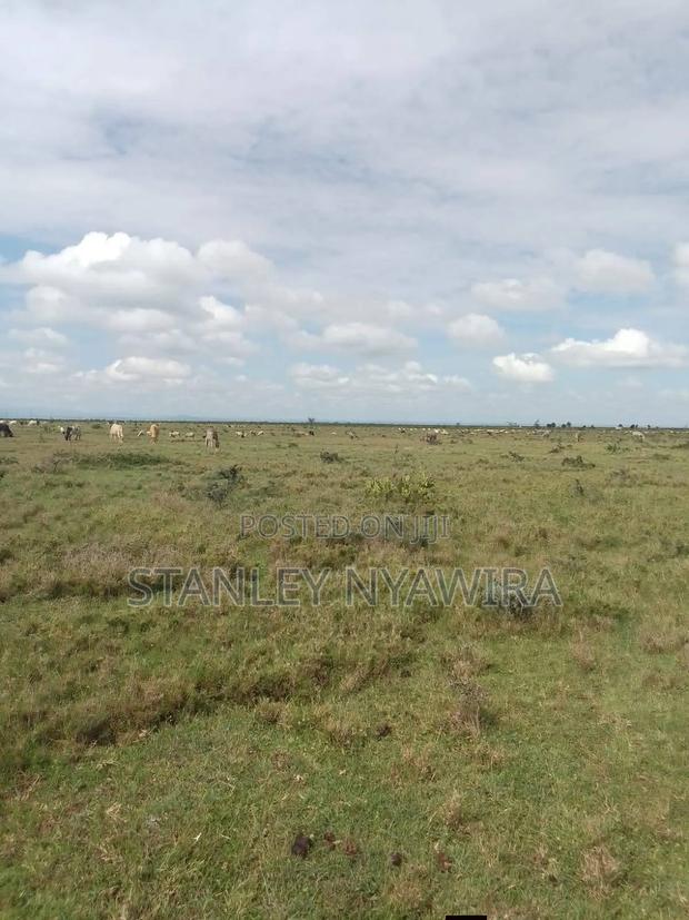 5 Acreas Nanyuki Mutirithia - thumbnail 3