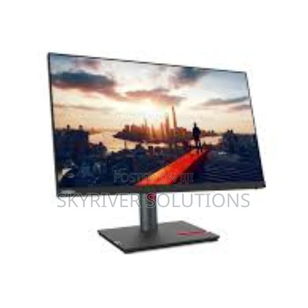 Lenovo Thinkvision P24h-30 23.8" QHD Monitor