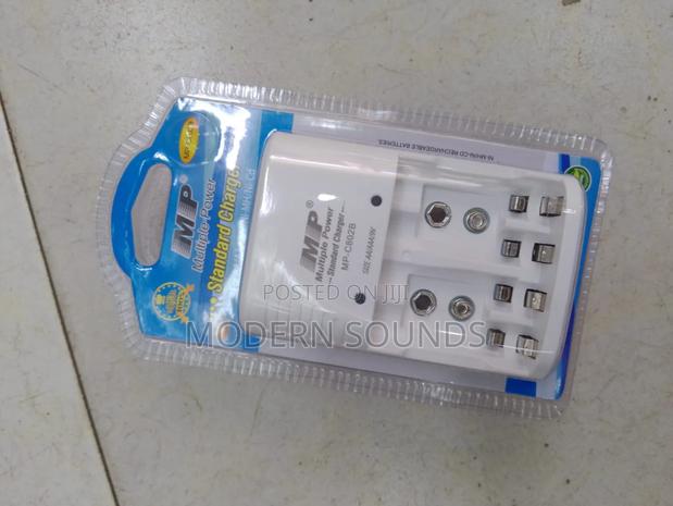 Multiple Power Standard Charger - main view