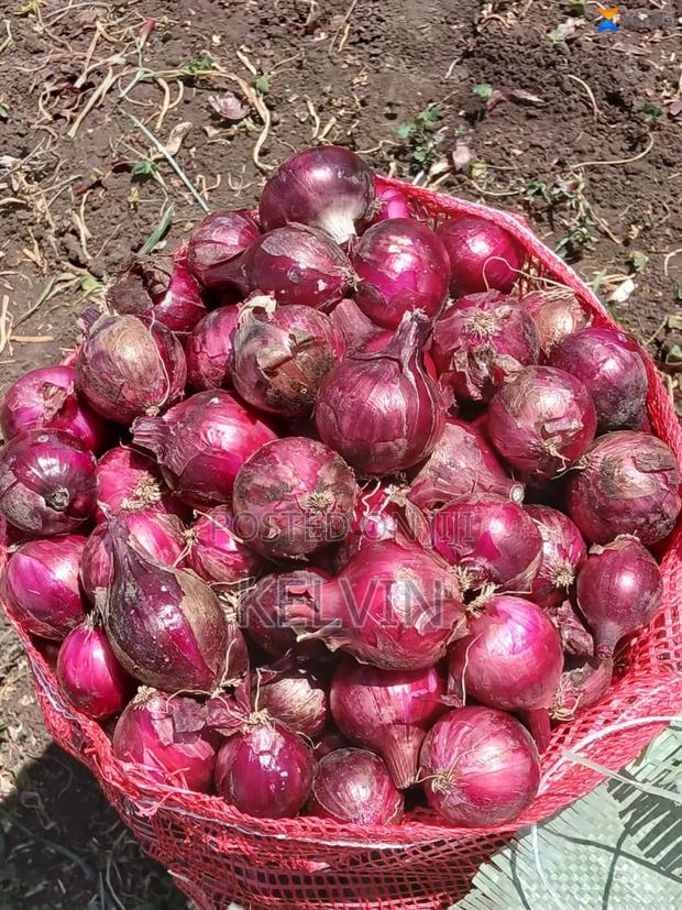 Red Onions - thumbnail 2
