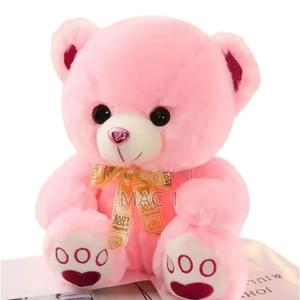 Giant Fluffy Teddy Bear Gift - main view