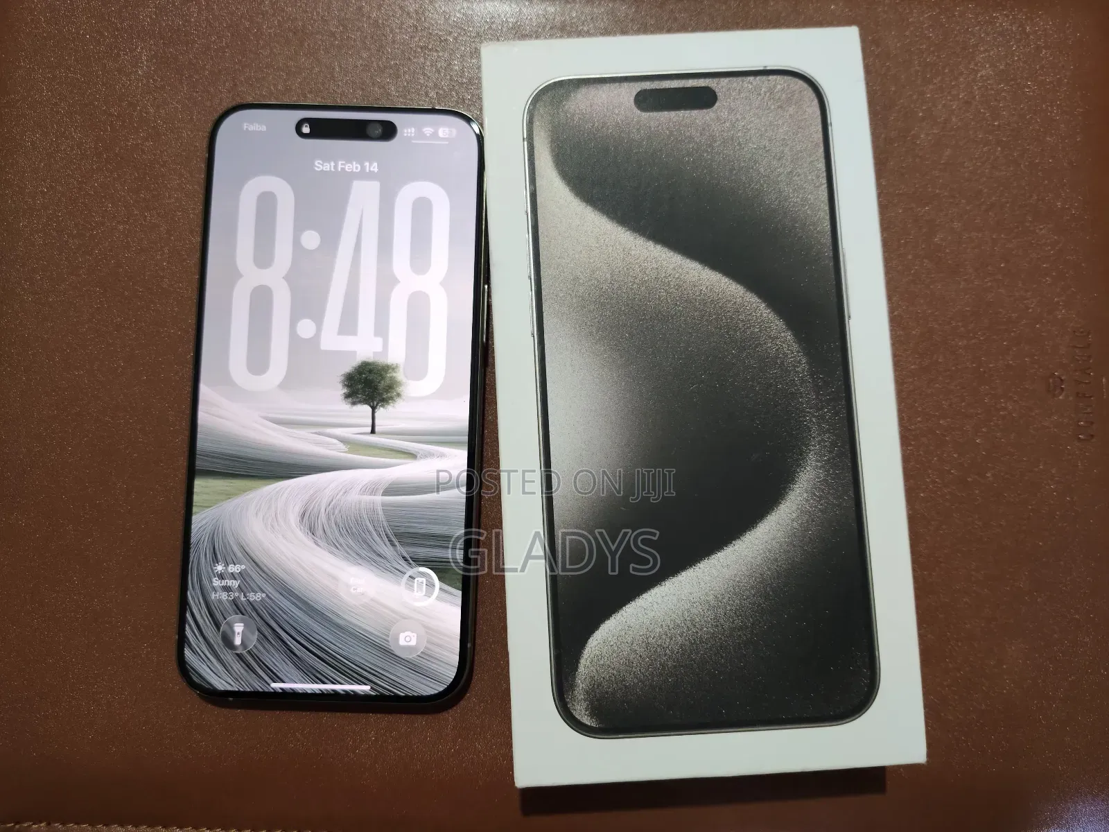 Apple iPhone 15 Pro Max 256 GB Silver
