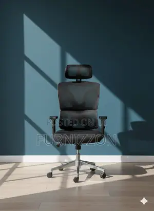 Full Mesh Ergonomic Office Chair With Headrest