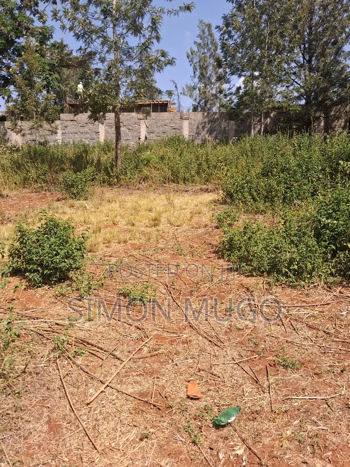 Ridgeways Kiambu Rd Prime Fully Serviced Well Drained Red Soil 1/2 Ac