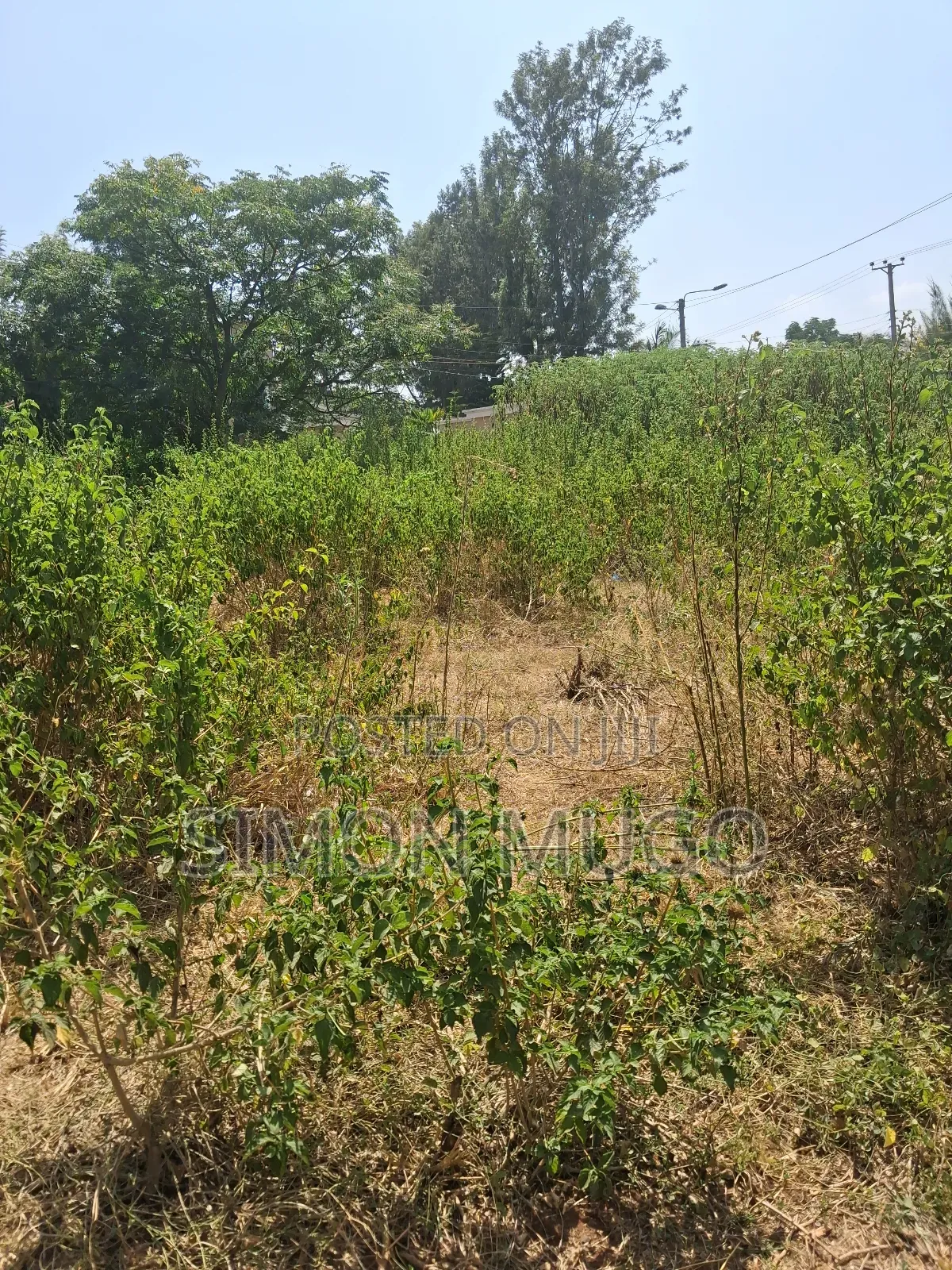 Ridgeways Kiambu Rd Prime Fully Serviced Well Drained Red Soil 1/2 Ac
